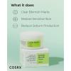 imageCOSRX Centella Blemish Cream 105 floz  30g  Centella  Korean Skin Care Vegan Cruelty Free Paraben Free